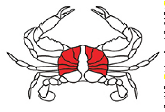 “BOSS” 蟹肉 (Lump)