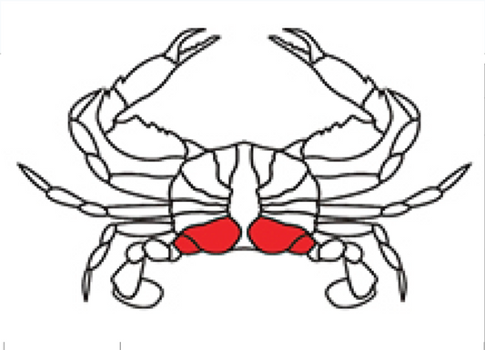 “BOSS” 珍寶蟹肉 (Jumbo Lump)