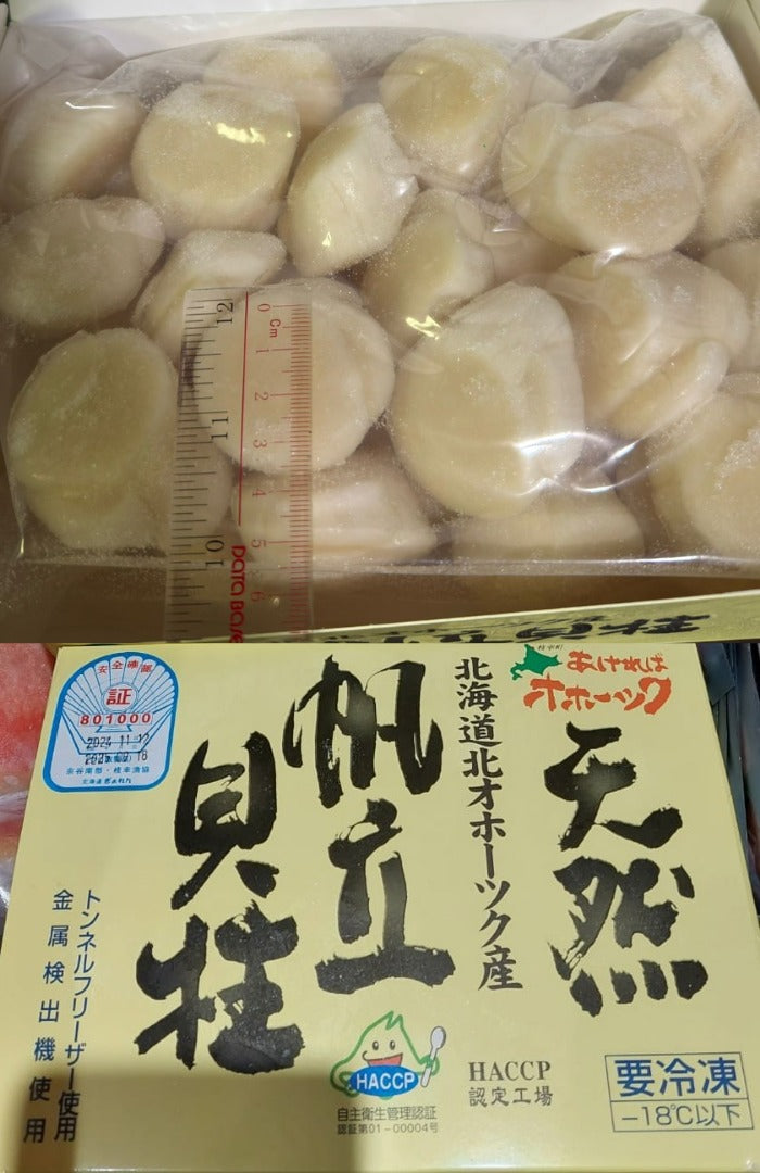 日本(永光)刺身帶子 S size