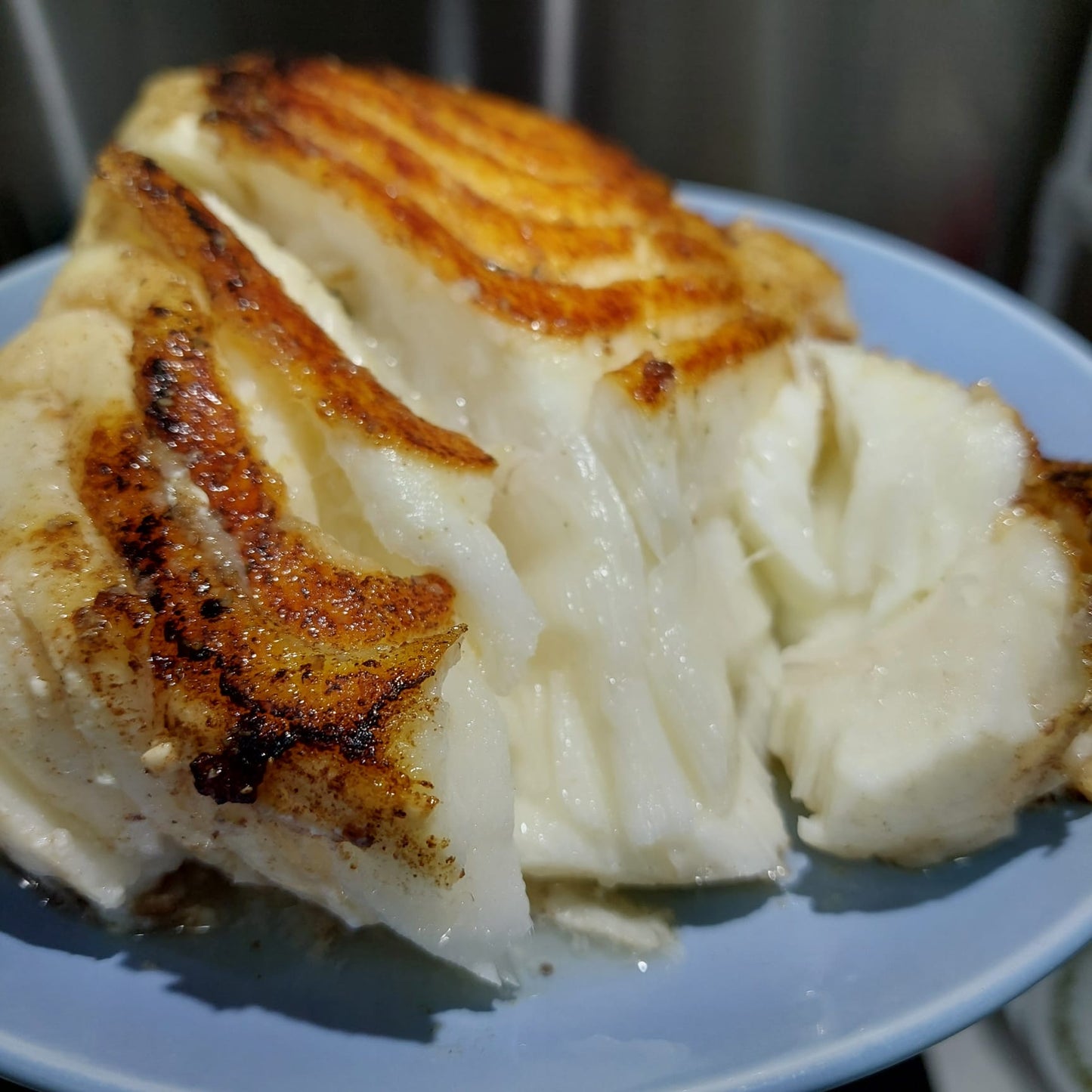 Australian Toothfish Fillet